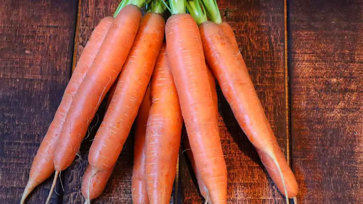 δίαιτα με ωμά καρότα