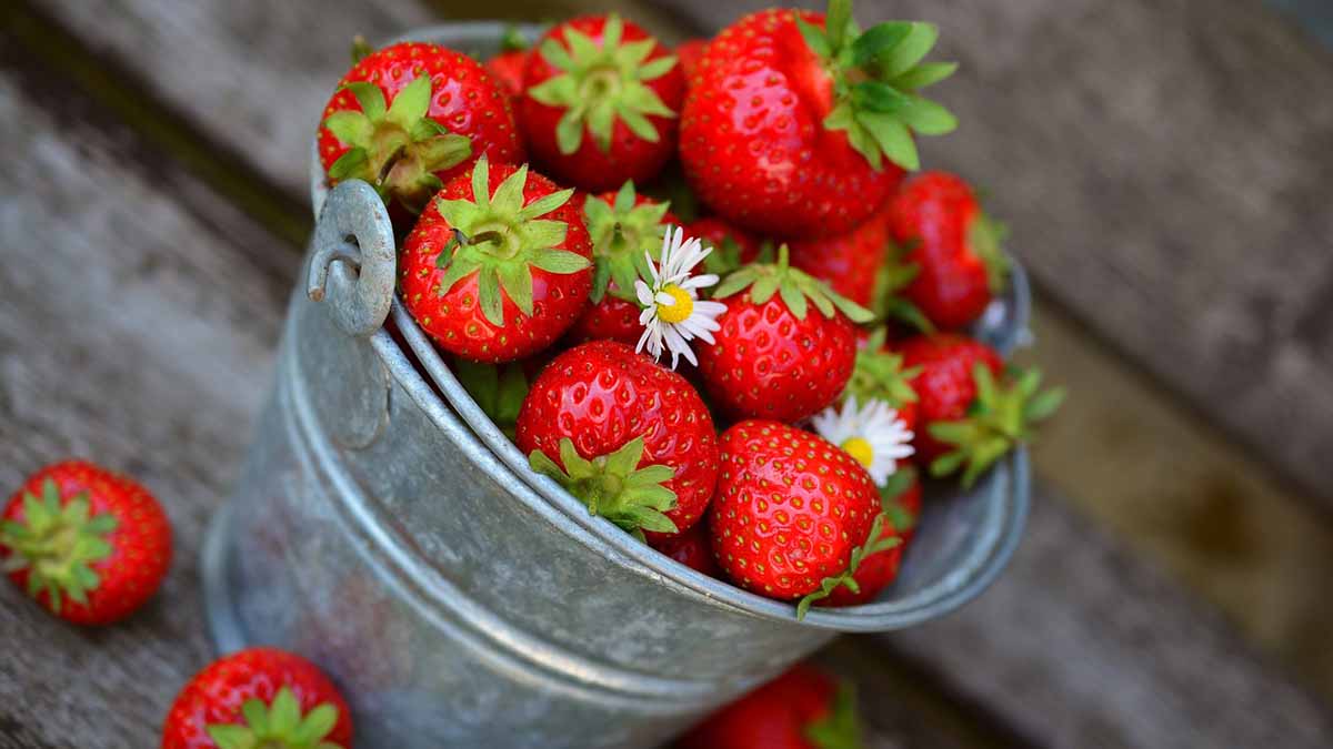 φράουλες για αδυνάτισμα