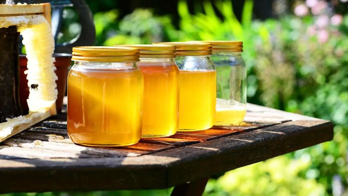 μέλι: οφέλη & ιδιότητες
